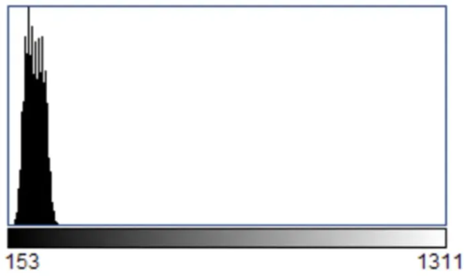 1761018826431518.png 33.png