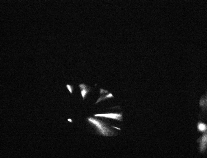 1761018840984482.png 44.png